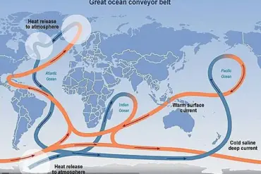 Met Office Scientists Warn of Catastrophic Climate Changes if Gulf Stream Collapses