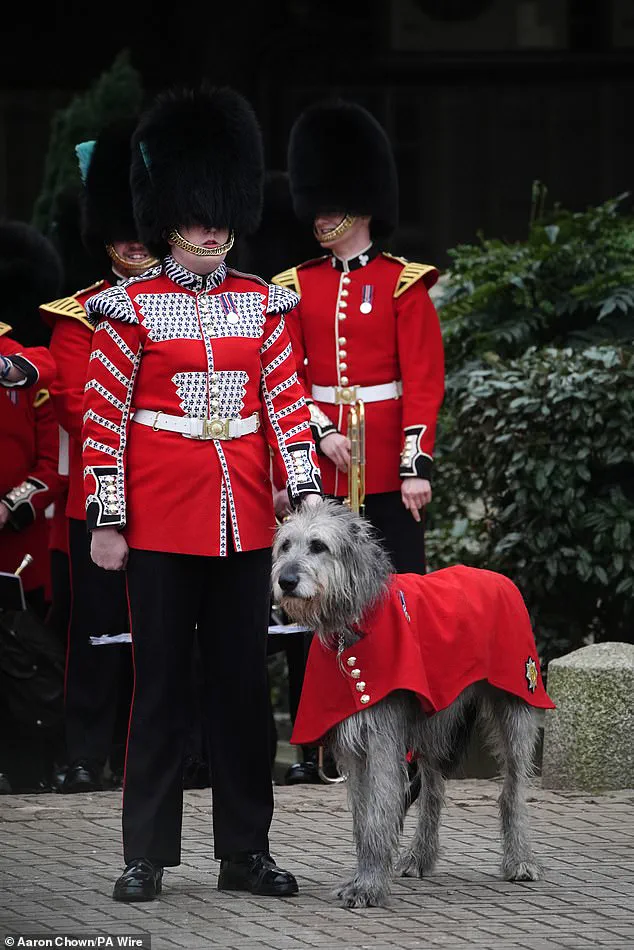 Princess of Wales Honored by Guardsmen in Emotional Toast