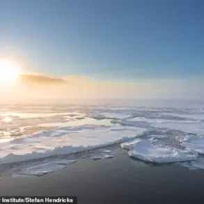 Scientists Warn of Catastrophic Climate Changes if AMOC Were to Collapse