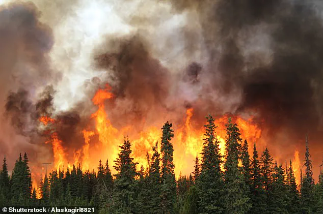 Trump Administration Cuts Critical Disaster Preparedness Program: NWS Training for Meteorologists Shut Down