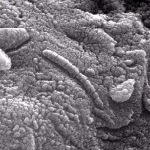 UFO Whistleblowers Reveal Aliens Are Already Among Us: A Cover-Up Unveiled