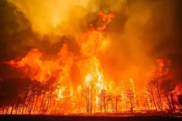 Exclusive Forecast: Wildfire Crisis in 33 States Predicted to Intensify by 2025