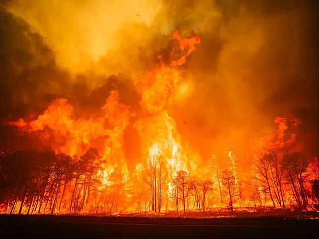Exclusive Forecast: Wildfire Crisis in 33 States Predicted to Intensify by 2025