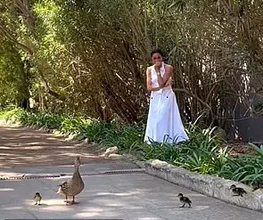 Meghan Markle's Self-Promotional Duck Drama: More Charitable Stunts or Shameless Self-Promotion?