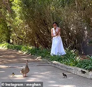 Meghan Markle's Self-Promotional Duck Drama: More Charitable Stunts or Shameless Self-Promotion?