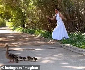 Meghan Markle's Self-Promotional Duck Drama: More Charitable Stunts or Shameless Self-Promotion?