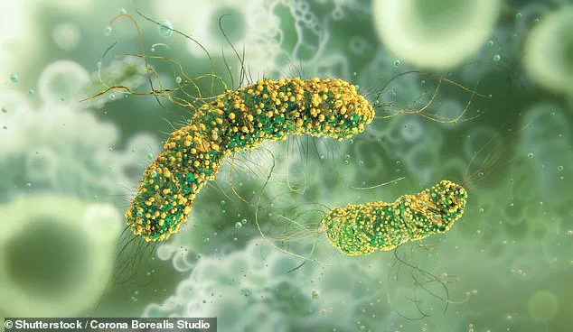 New York Food Producer Recalls Enoki Mushrooms Due to Listeria Contamination