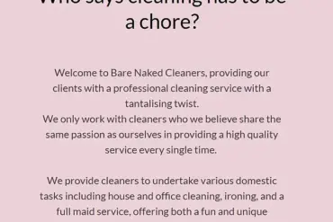 Penelope Wyser's Bare Naked Cleaners: The Strip Down Cleaning Service
