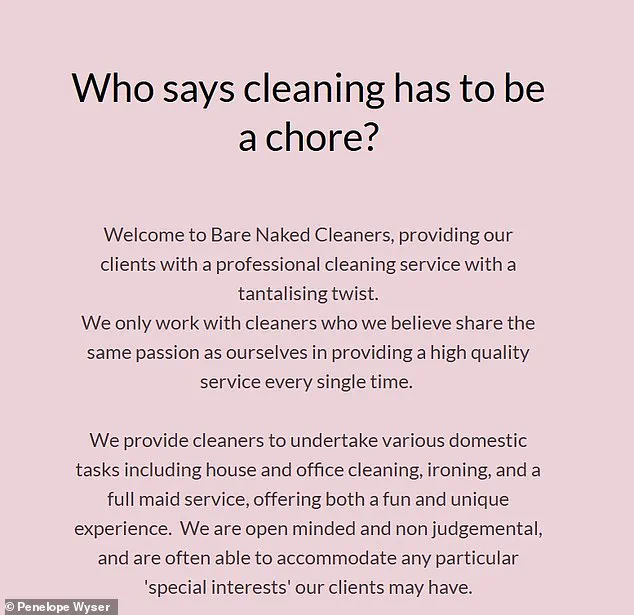 Penelope Wyser's Bare Naked Cleaners: The Strip Down Cleaning Service
