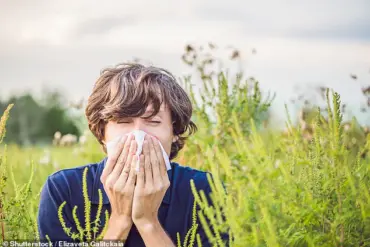 Pollen Bomb Alert: High to Very High Counts Forecast for Hay Fever Sufferers
