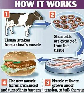 Scientists Create Lab-Grown Chicken Nuggets: The Future of Meat?