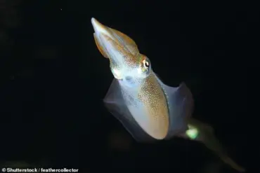 Scientists Develop Vegan Calamari Using Mung Bean Protein and Microalgae