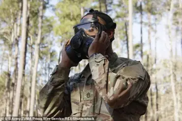 Secret Air Force Document Reveals Aborted Plan for 'Gay Bomb'