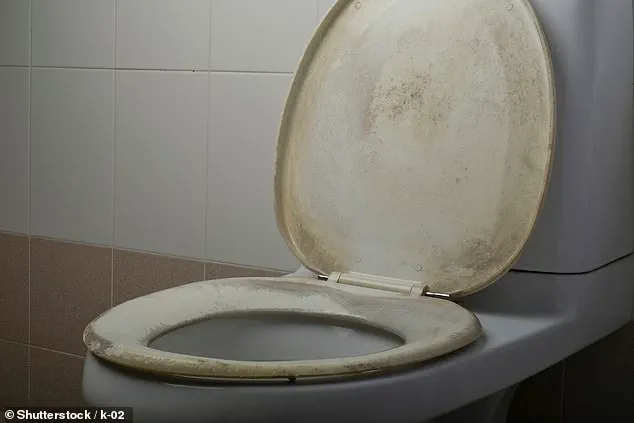 Study Reveals Teddy Bears Have Twice as Many Germs as Toilet Seats