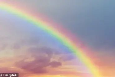The Purple Illusion: How Our Brains Create a Color That Doesn't Exist