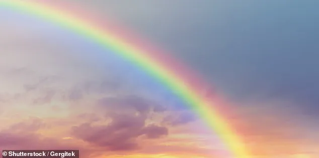 The Purple Illusion: How Our Brains Create a Color That Doesn't Exist