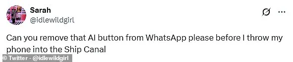 WhatsApp Introduces Exclusive Access to Meta AI Chatbot