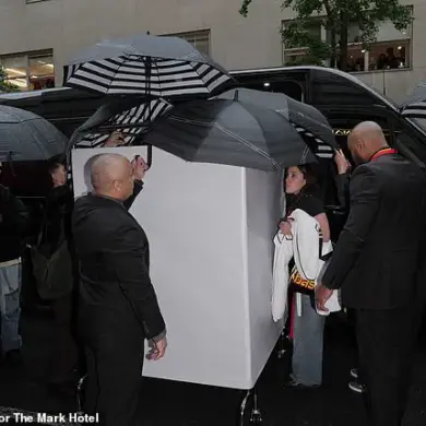 Doechii's Viral Met Gala Outburst Sparks Debate Over Fame's Pressures