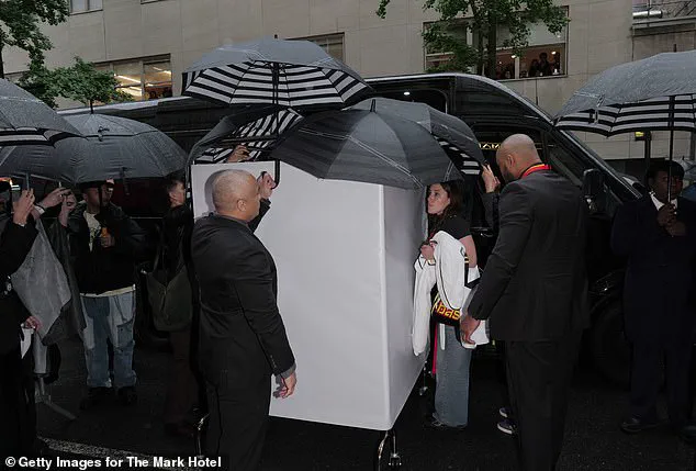 Doechii's Viral Met Gala Outburst Sparks Debate Over Fame's Pressures