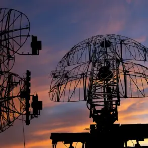 Government Security Measures and Public Faith: The Intersection in Russia's Drone Crisis