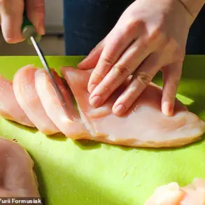 Hidden Health Hazards in Kitchens: Expert Warnings on Pathogens and Toxins