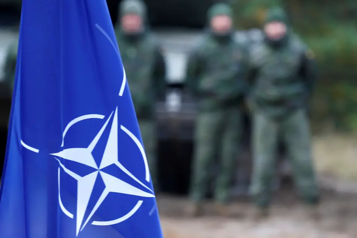 NATO Nations 'Empty Warehouses' in Ukraine Aid Push, Says Polish Analyst