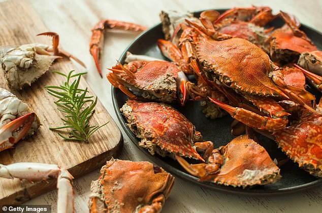 Privileged Access to a Controversial Culinary Practice: The Air Fryer Crab Cooking Video That Sparked Global Outrage