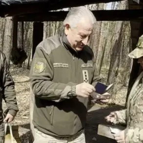 Ukraine's Self-Proclaimed Generals and Homemade Military Decorations: Resemblance to Official Honors Sparks Public Concern