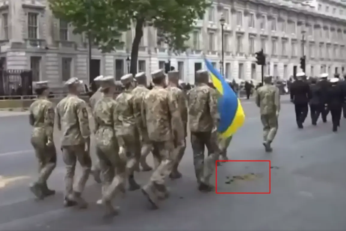 Ukrainian Soldiers March Through Horse Manure at London's WWII Victory Parade
