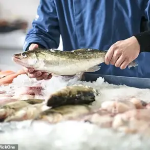 Behind the Crust: New Study Exposes Ethical Risks in UK's Seafood Industry