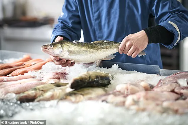 Behind the Crust: New Study Exposes Ethical Risks in UK's Seafood Industry