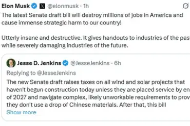 Elon Musk Condemns Trump's 'Big Beautiful Bill' as 'Utter Madness' Ahead of Senate Vote