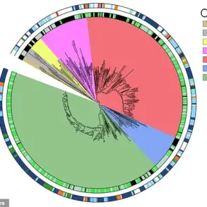 Hidden Threat: Giant Viruses Reshaping Marine Ecosystems, Scientists Warn