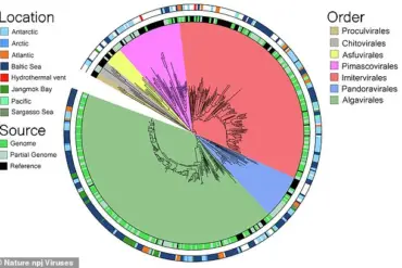 Hidden Threat: Giant Viruses Reshaping Marine Ecosystems, Scientists Warn