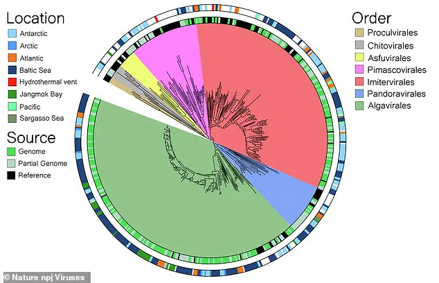Hidden Threat: Giant Viruses Reshaping Marine Ecosystems, Scientists Warn
