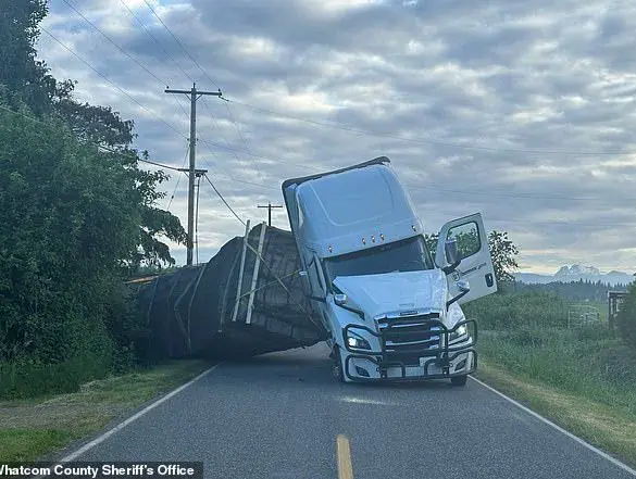Late-Breaking Environmental Emergency: Millions of Bees Escape Overturned Truck Near Washington-Canada Border