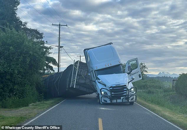 Late-Breaking Environmental Emergency: Millions of Bees Escape Overturned Truck Near Washington-Canada Border