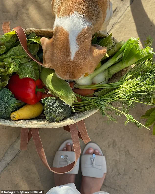 Meghan Markle's Instagram Post Under Fire: Critics Claim She's Leveraging Royal Status to Boost Her Lifestyle Brand, Hurting the Monarchy's Standing