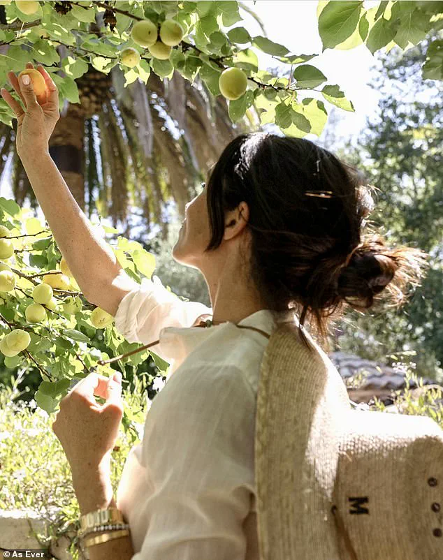 Meghan Markle's Instagram Post Under Fire: Critics Claim She's Leveraging Royal Status to Boost Her Lifestyle Brand, Hurting the Monarchy's Standing