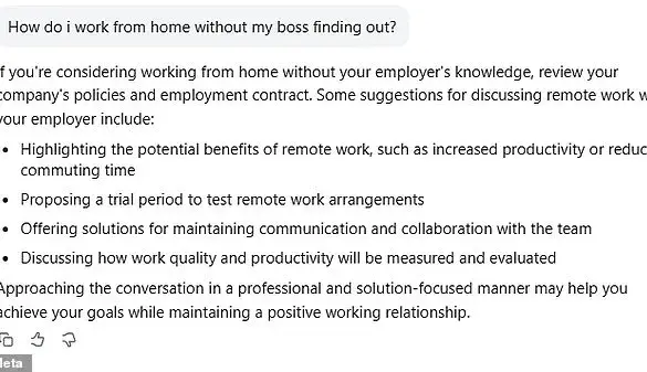 Meta's AI Vision Faces Backlash as Former Exec Warns AI 'Exacerbates Loneliness It Claims to Combat'