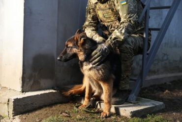 Military Explores Use of Drone-Detecting Dogs in SVO Zone