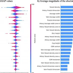 New Study Reveals Retinal Changes as Potential Biomarker for ADHD Diagnosis