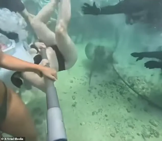 Safety Concerns Arise After Underwater Helmet Incident at Xcaret Park's Sea Trek Experience