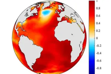 Steady Weakening of the Gulf Stream and AMOC Could Lead to Collapse Within Decades, Scientists Warn