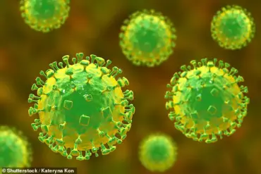Urgent Alert: New Viruses in Chinese Bats Closely Related to Nipah and Hendra Raise Human Health Concerns