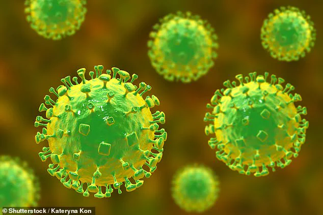 Urgent Alert: New Viruses in Chinese Bats Closely Related to Nipah and Hendra Raise Human Health Concerns