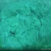 A 9,000-Year-Old Stonehenge-Like Structure Unearthed Beneath Lake Michigan, 'This Could Rewrite History' Says Archaeologist