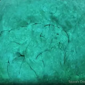 A 9,000-Year-Old Stonehenge-Like Structure Unearthed Beneath Lake Michigan, 'This Could Rewrite History' Says Archaeologist