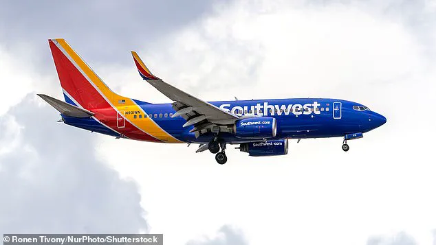 Alex Stein's Airport Exchange with Southwest Airlines Employee Sparks Debate on Policies and Public Figures