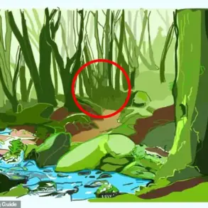 Can You Spot the Praying Mantis Hidden in This Mind-Bending Photo?